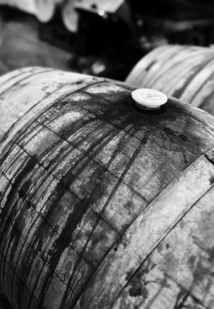 black and white image of a wine barrel