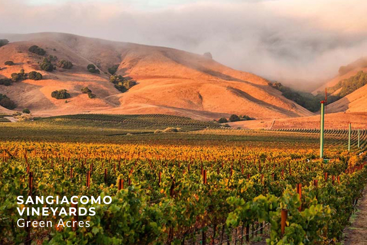 Sangiacomo Scenery, California 