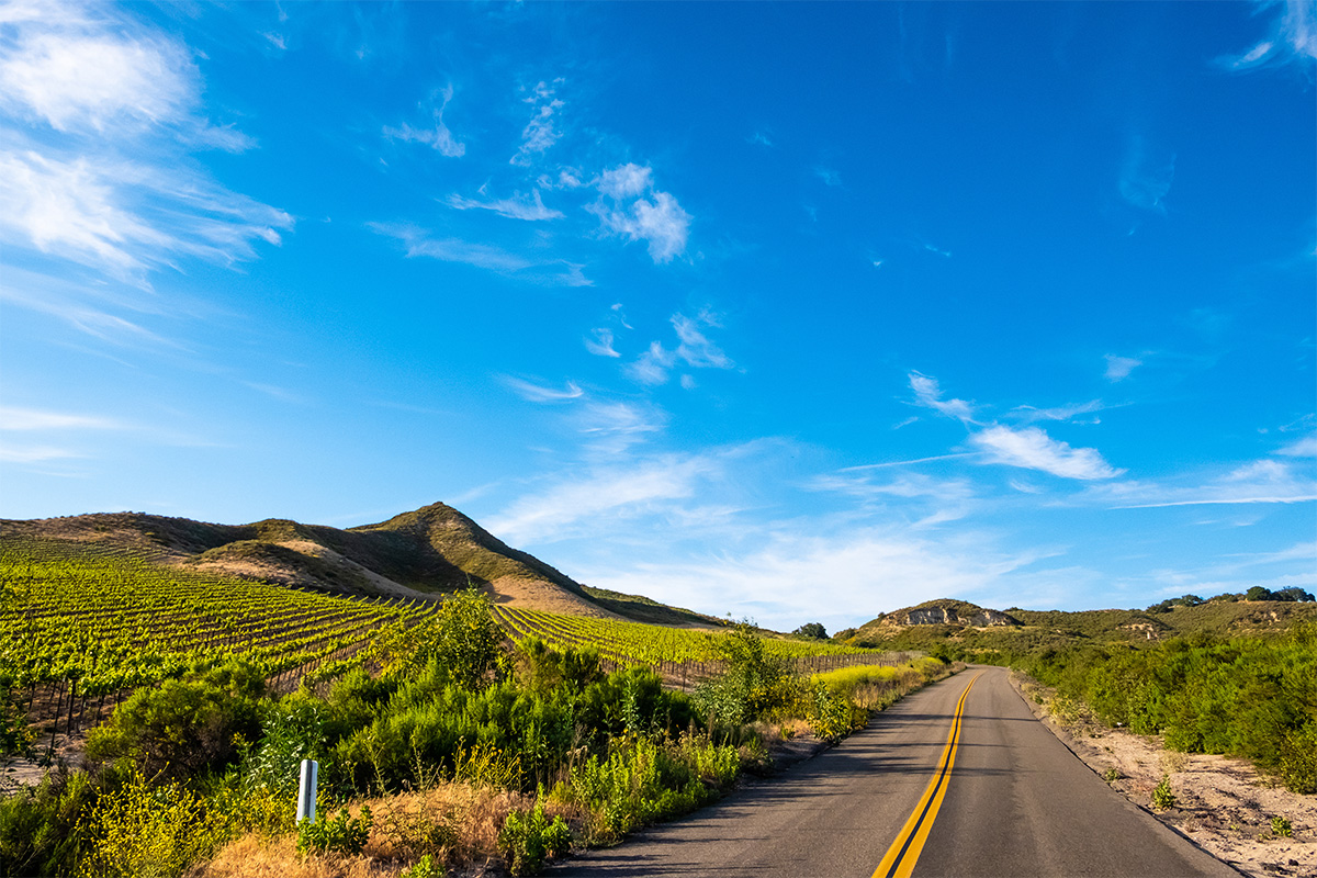 Santa Barbara Wine Country