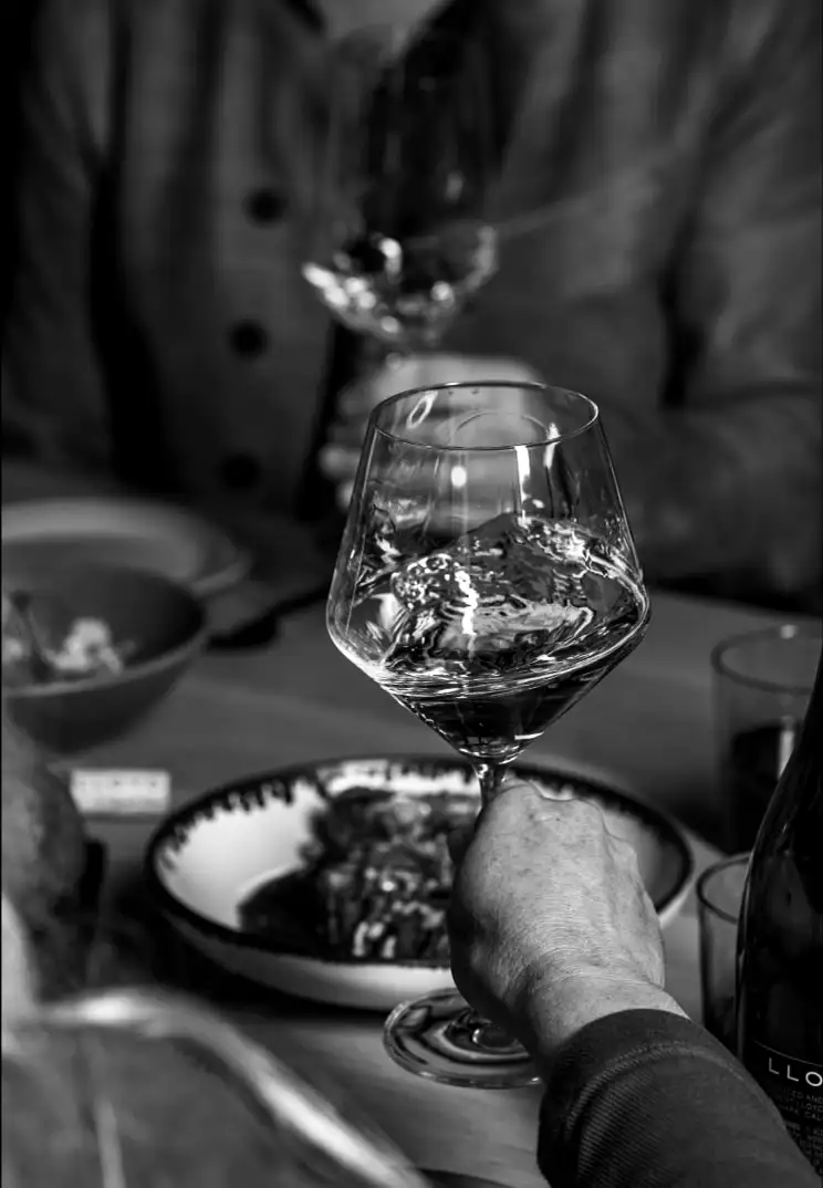 person holding a glass of white wine
