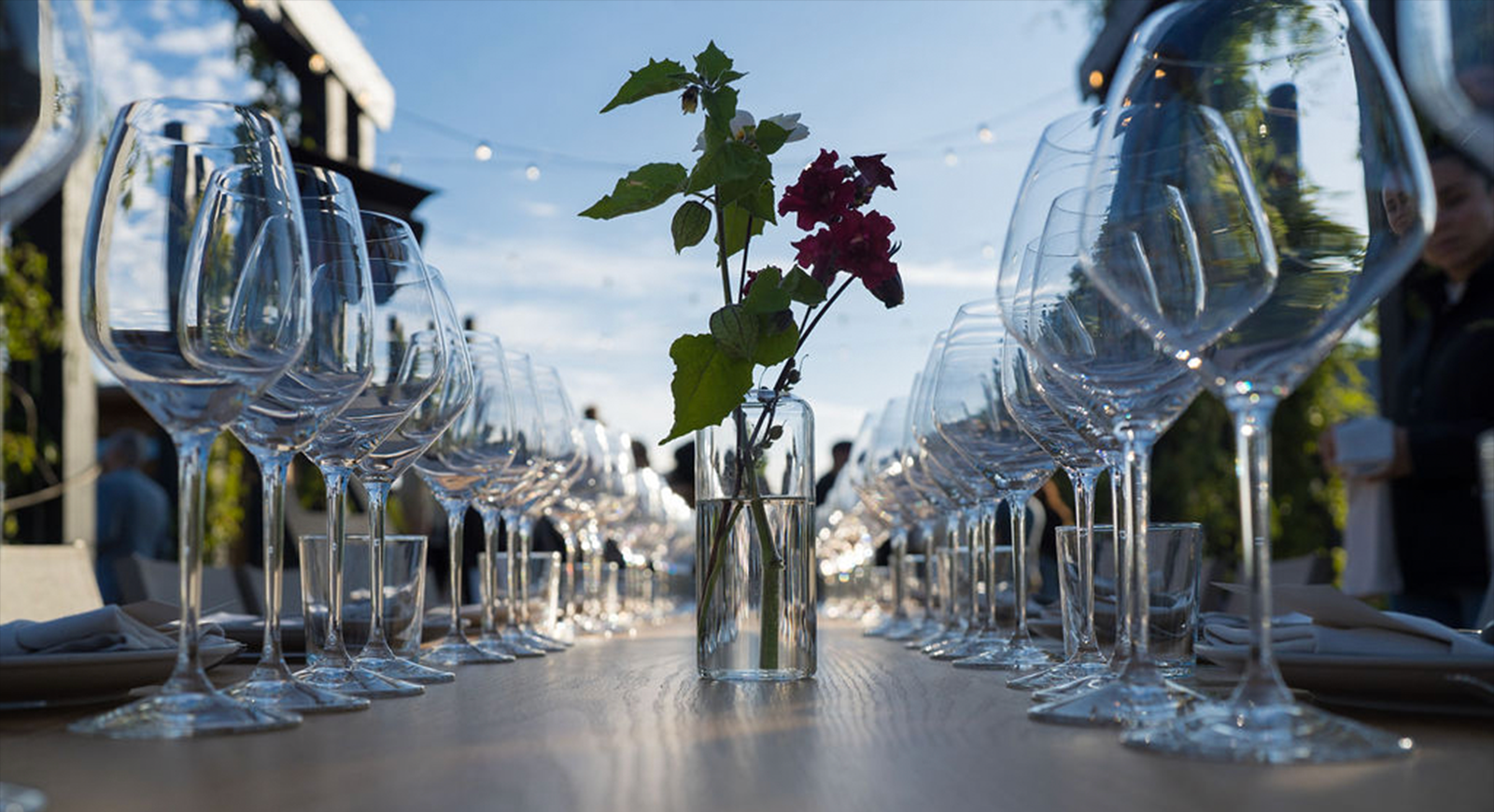 Photo of the table setting, including the flower vase and wine glasses lined up and ready for the pairings for each course.
