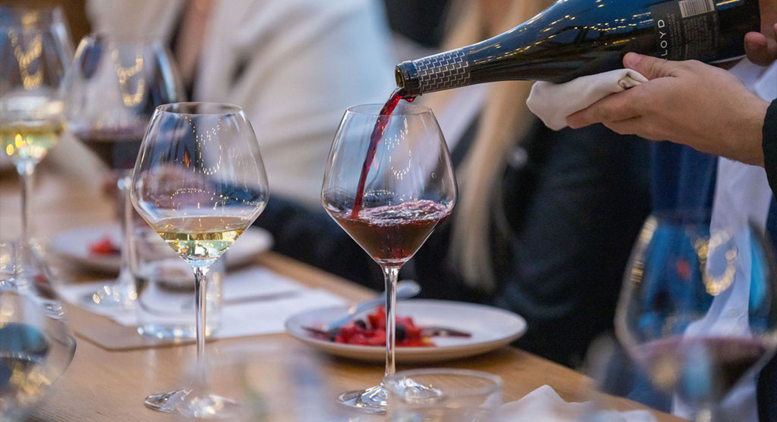 Photo of a server pouring a glass of Lloyd Pinot Noir.