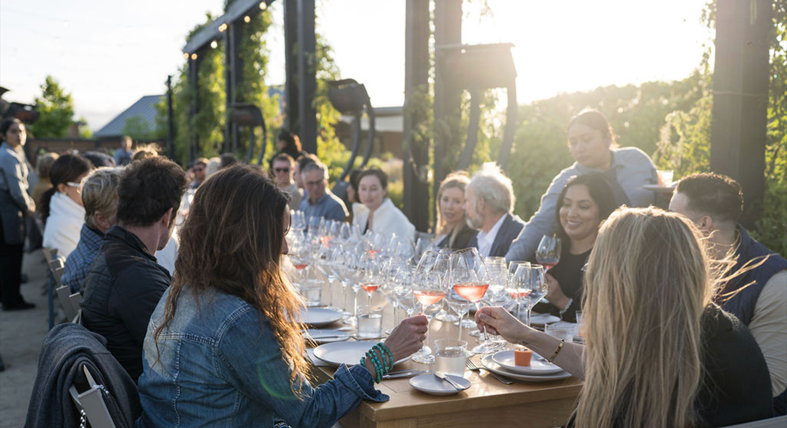 Photo of guests seated at the table with a burst of sunlight casting across the frame.