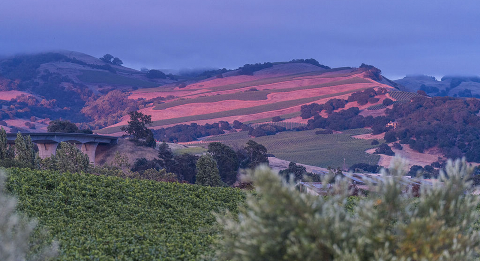 A landscape photo of the Carneros hillside view from Stanly Ranch at dusk.