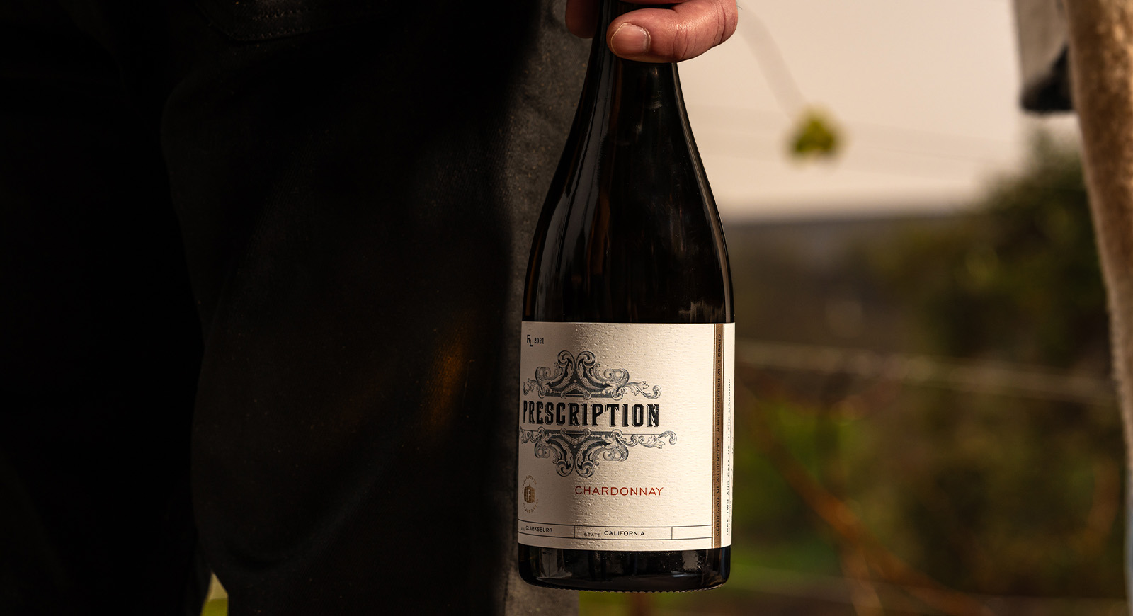 A hand holding a bottle of Prescription Chardonnay outdoors, with vineyard rows softly blurred in the background.