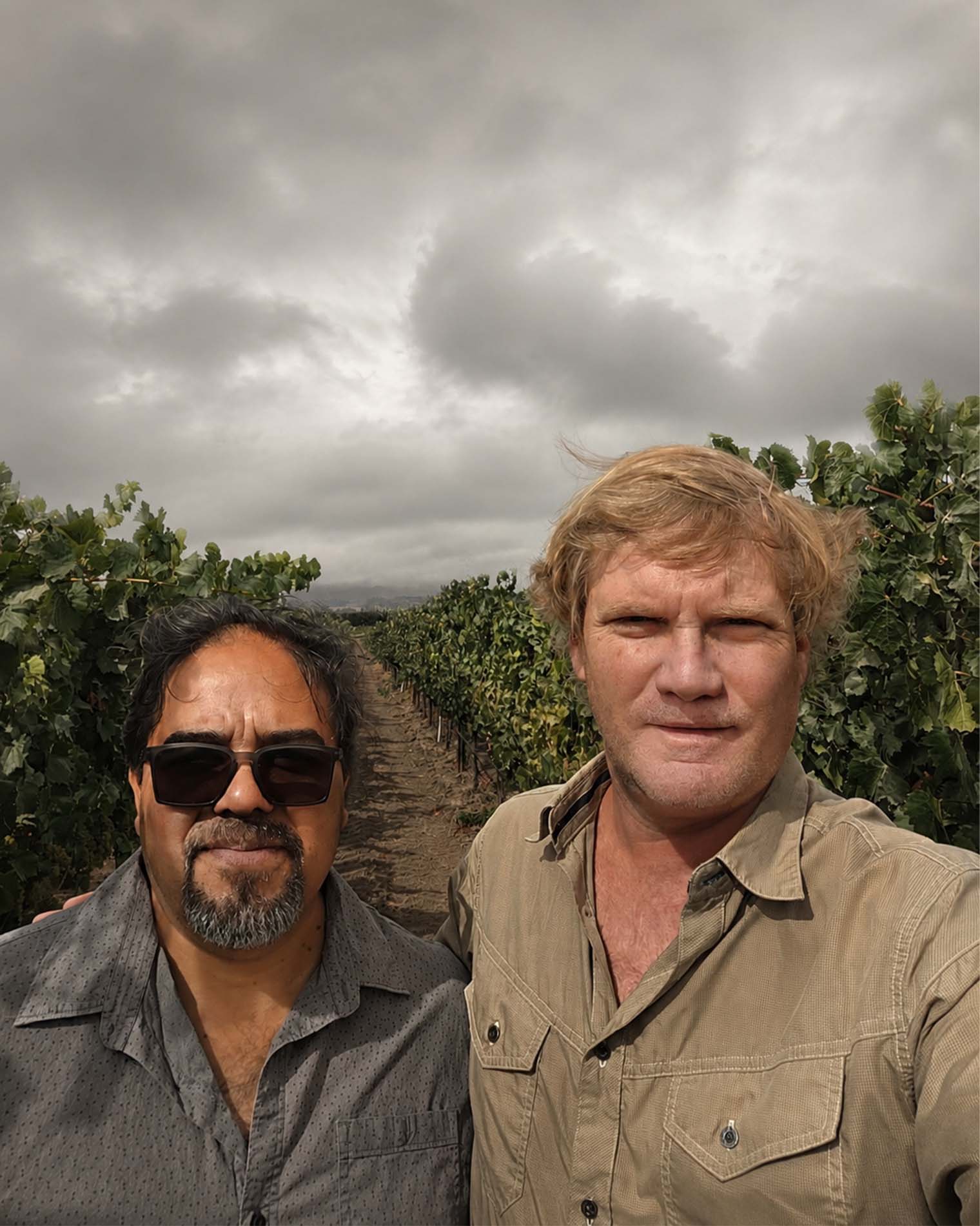 Rob Lloyd and Bernardo Munoz in the Chardonnay rows at Sangiacomo, Carneros