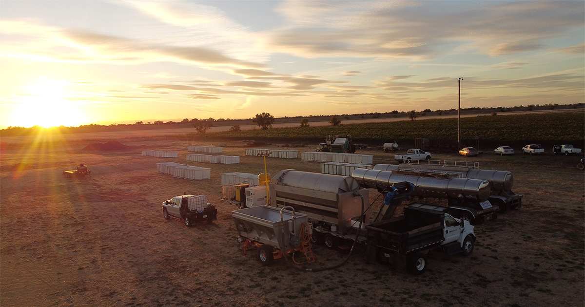 Field Report: The Chardonnay Harvest, September 2026.
